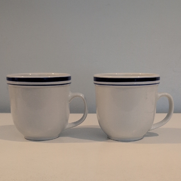 Pottery Barn Other - Pottery Barn Ceramic 12 Ounce Club Blue Coffee Mug Set.